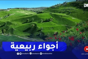 أجواء ربيعية بإمتياز.. شاهد التفاصيل