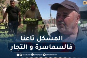 منتجو التفاح بباتنة يطالبون بالتفرقة بين التخزين والمضاربة
