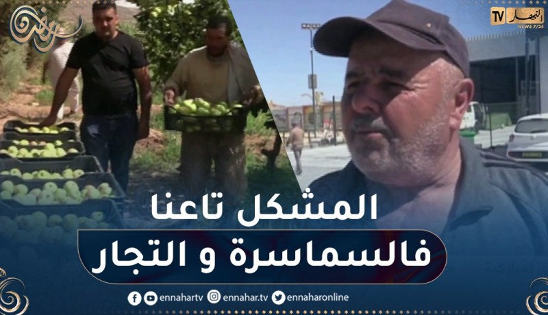 منتجو التفاح بباتنة يطالبون بالتفرقة بين التخزين والمضاربة