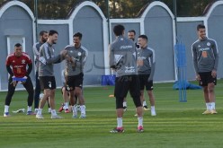 “الفاف” تكشف عن برنامج “الخضر” في تونس