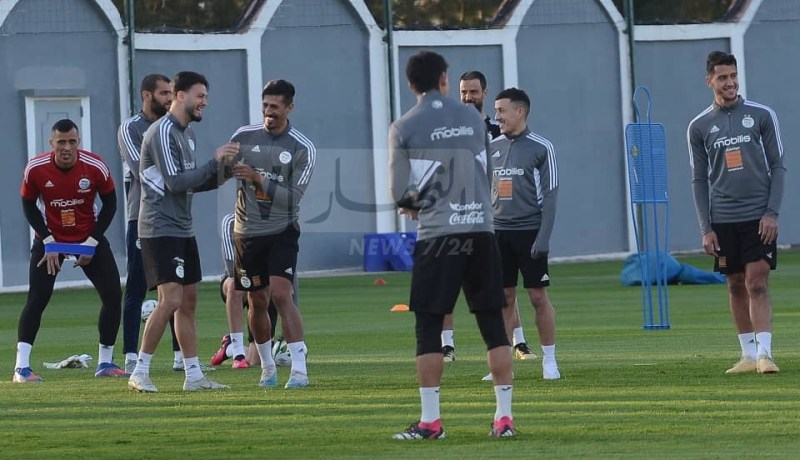 “الفاف” تكشف عن برنامج “الخضر” في تونس