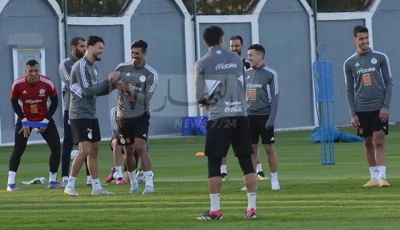 الفاف تكشف برنامج الخضر بتونس تحسبا لمواجهة النيجر