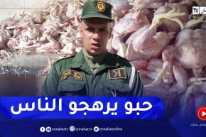 بجاية: الدرك الوطني يكشف عن مذبح سري ويحجز كمية معتبرة من الدجاج الفاسد بواد غير