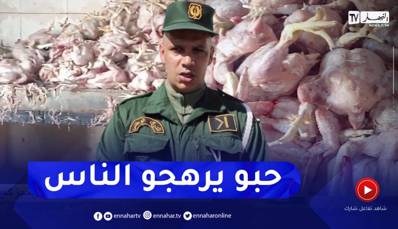 بجاية: الدرك الوطني يكشف عن مذبح سري ويحجز كمية معتبرة من الدجاج الفاسد بواد غير
