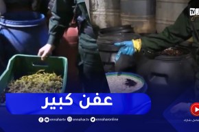 شاهد..مداهمة درك بجاية لمستودع مختص في صناعة و تعليب مادتي الزيتون والففل المخلل