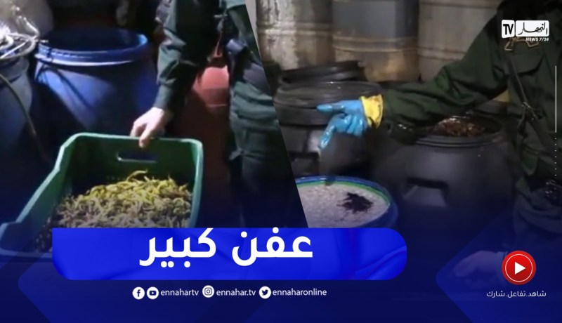 شاهد..مداهمة درك بجاية لمستودع مختص في صناعة و تعليب مادتي الزيتون والففل المخلل