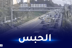 بعد أن تسبب في حادث مرور وهرب.. إيداع سائق السيارة الحبس