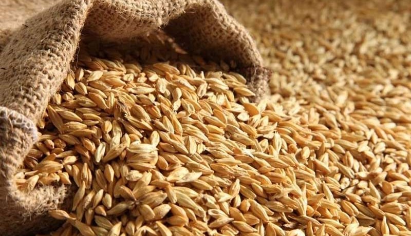 من بينهم موالون سماسرة وأطباء بيطريين.. الإطاحة بشبكة مختصة في المضاربة بالشعير العلفي