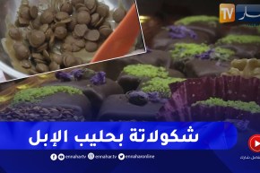 ورقلة: بحليب الإبل .. أحلام تبدع في صناعة مختلف أنواع الشكولاتة
