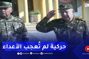 “الفريق أول شنقريحة :” الجزائر تعرف حركية نشطة لم تُعجب أعـ ـداء الجزائر