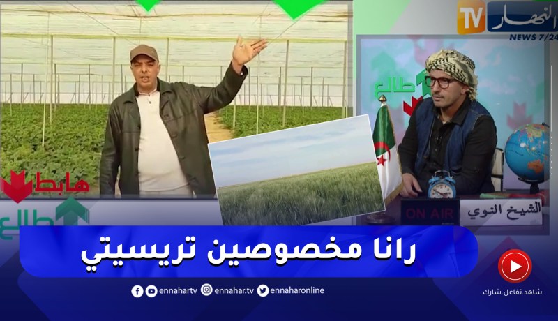 طالع هابط: فلاحو خنشلة يعانون ويطالبون بالكهرباء .. تريسيتي نصدرولها لإيطاليا وحنا ماعندناش