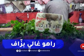 أسعار اللحوم في إرتفاع..والآمال معلقة على الإستراد خلال الشهر الفضيل