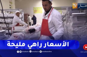 البويرة : توفير اللحوم البيضاء بأسعار معقولة تحسبا لشهر رمضان