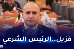 الملاكمة..الاتحاد الدولي يرفض نتائج انتخابات الاتحادية الجزائرية