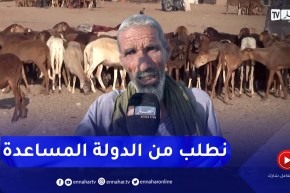 برج باجي مختار: معاناة الموالين في تربية المواشي بالولاية ومطالب بتوفير بياطرة