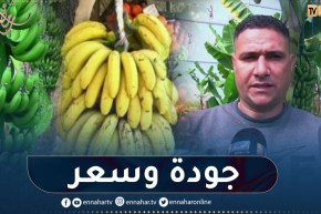 دخول “الموز المحلي” للأسوق لكسر الأسعار خلال الشهر المبارك