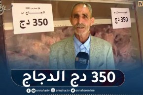 النعامة: وفرة في منتوج الدجاج بسعر 350 دج بنقاط البيع المعتمدة