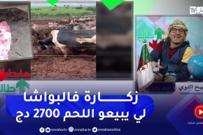 طالع هابط: النوي يقصف مافيا اللحم .. راهي جات 10 ألاف عجل زكارة فيكم يا لي ما تخافوش ربي