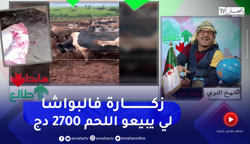 طالع هابط: النوي يقصف مافيا اللحم .. راهي جات 10 ألاف عجل زكارة فيكم يا لي ما تخافوش ربي