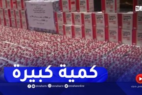 حجز أزيد من 9000 قرص مهلوس مموه بالشيبس في الوادي