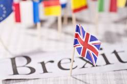 انخفاض عمليات التجنيس البريطانية في الاتحاد الأوروبي