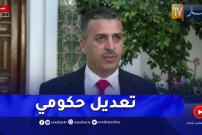 رئيس الجمهورية يجري تعديلا حكوميا.. عطاف خلفا للعمامرة وزيتوني وزيرا للتجارة