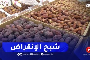 بسكرة : 1000 صنف للتمور بالجزائر منها 300 صنف بالولاية تبحث عن الاهتمام