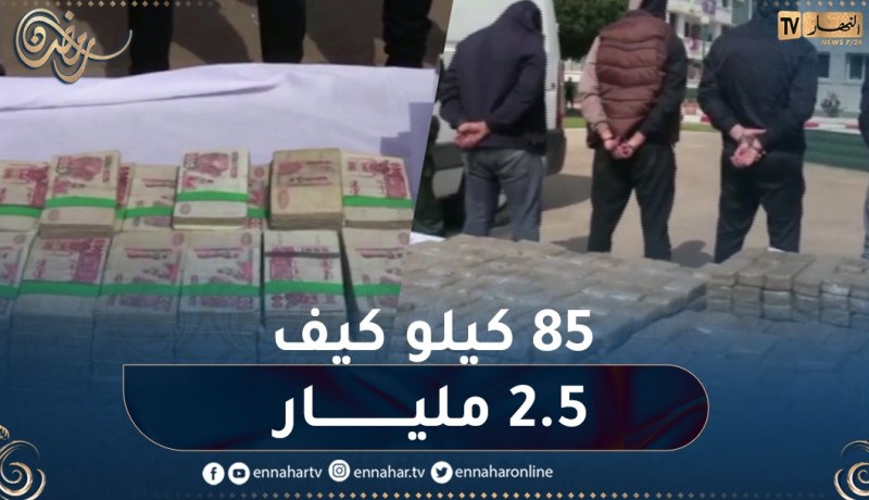 تفكيك شبكة دولية منظمة مختصة في تهريب المخدرات بوهران