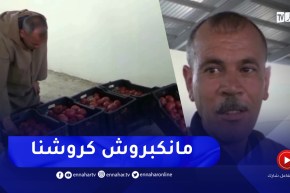 غليزان : مواطنون يفضلون التسوق مبكرا من أسواق الرحمة لإنخفاض أسعارها