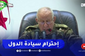 شنقريحة : الجزائر رافقت البلدان الإفريقية في تسوية أوضاعها الأمنية بتفضيل احترام سيادة الدول