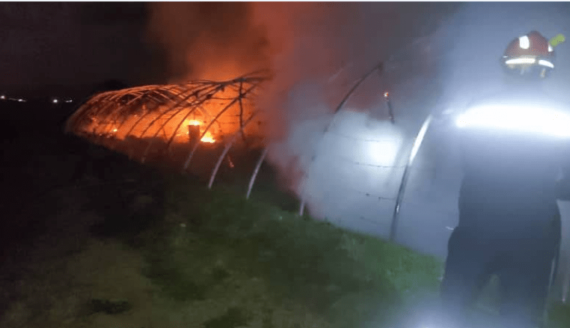 الشلف: نفوق 3000 صوص في حريق بيت بلاستيكي