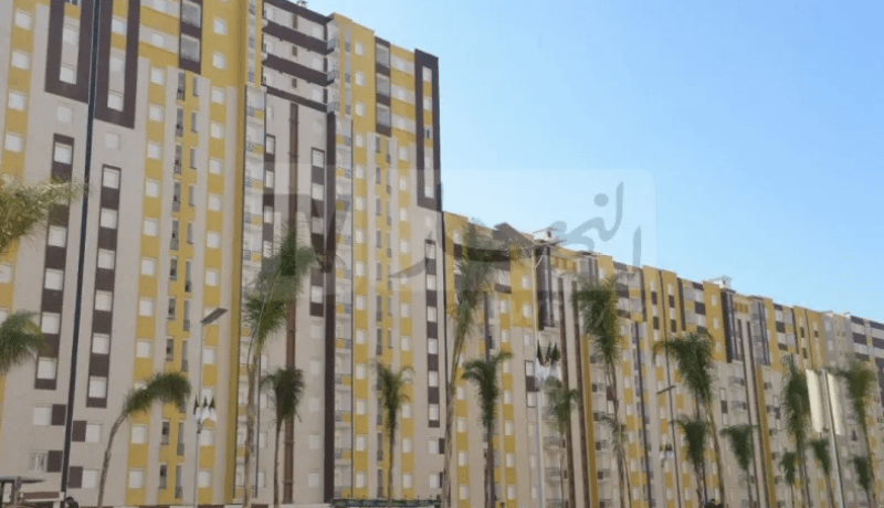 عدل: تسليم شهادات التخصيص في 19 مارس