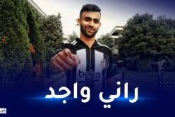 غزال يؤكد تعافيه من الإصابة