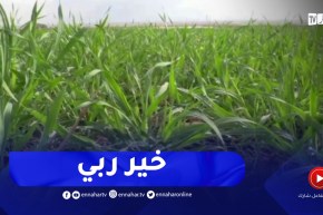 غليزان : الأمطار الأخيرة تعيد الأمل للفلاحين في نجاح الموسم الفلاحي