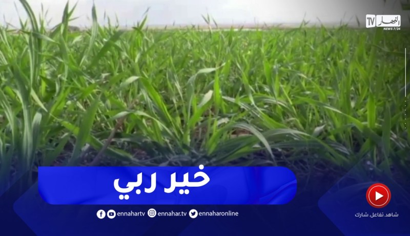 غليزان : الأمطار الأخيرة تعيد الأمل للفلاحين في نجاح الموسم الفلاحي