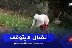 جيجل : المرأة الريفية..مثال المرأة الجزائرية في التحدي و العطاء