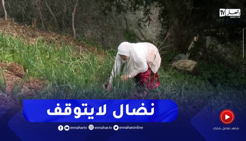 جيجل : المرأة الريفية..مثال المرأة الجزائرية في التحدي و العطاء