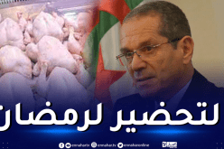 إجراءات جديدة لضبط أسعار الدواجن في رمضان