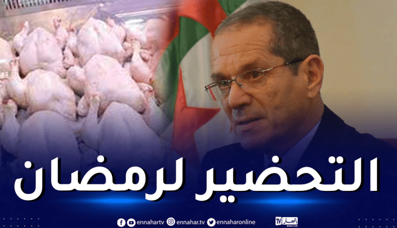 إجراءات جديدة لضبط أسعار الدواجن في رمضان