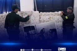 وهران.. اكتشاف ورشة سرية لتوضيب الملح غير مطابقة للمعايير بأكياس سكر