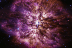 ناسا تلتقط “صورة نادرة” لنجم ضخم على وشك الإنفجار