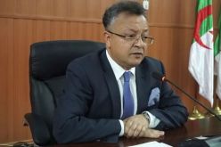 بداري: المؤسسات الناشئة المستحدثة بالوسط الجامعي قيمة مضافة للإقتصاد