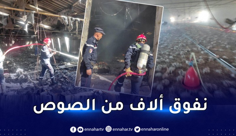 باتنة.. إخماد حريق شب بمركب انتاج بيض التفريخ