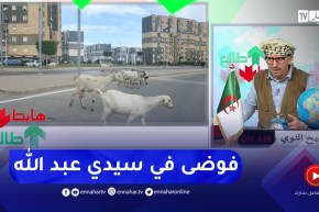 “طالع هابط: تبقى بلا راس.. ” شاهد الفوضى في سيدي عبد الله المدينة الجديدة