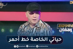 الشاب رشدي: أنا كفنان أتقبل النقد لكن التدخل في حياتي الخاصة لا أقبله