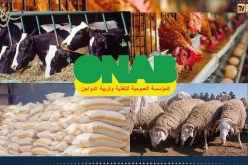 بيان هام للمربين.. أسعار جديدة لأغدية الأنعام والدواجن
