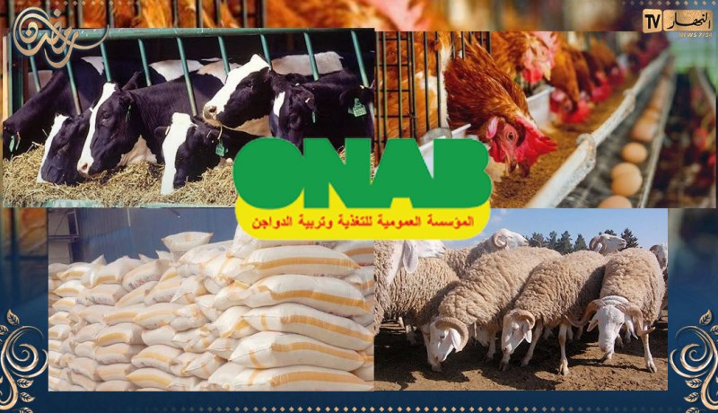 بيان هام للمربين.. أسعار جديدة لأغدية الأنعام والدواجن