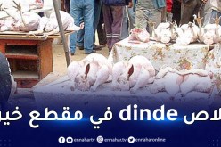 ذبح الديك الرومي بسوق مقطع خيرة في دواوة ممنوع