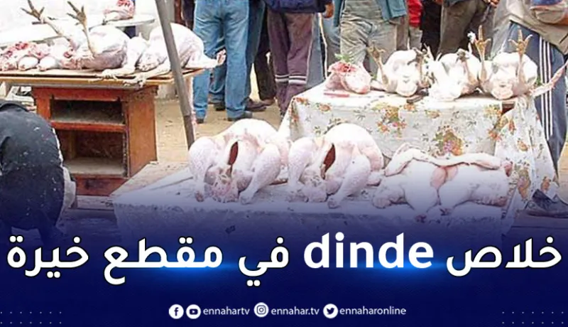 ذبح الديك الرومي بسوق مقطع خيرة في دواوة ممنوع