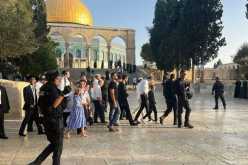 سفير فلسطين بالقاهرة يُحذر من حرب كبرى في المنطقة